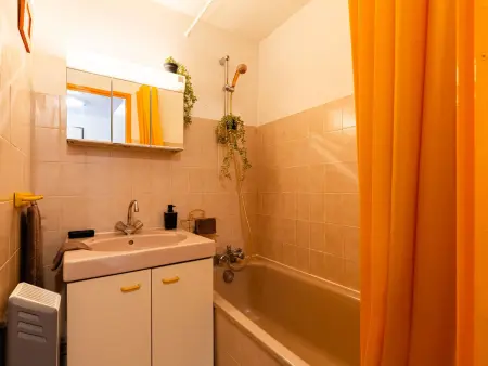 Appartement cosy au pied du téléphérique, Saint-Lary-Soulan : photo 8