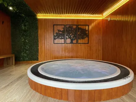Appartement 1 chambre à Bonfim avec jacuzzi commun : photo 2