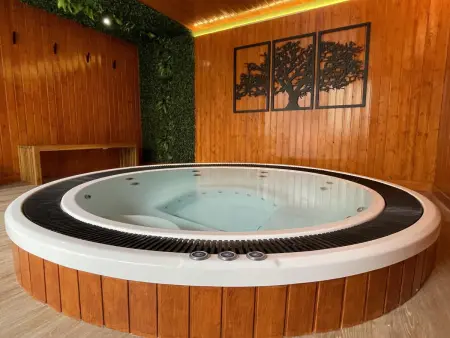 Appartement 1 chambre à Bonfim avec jacuzzi commun : photo 25