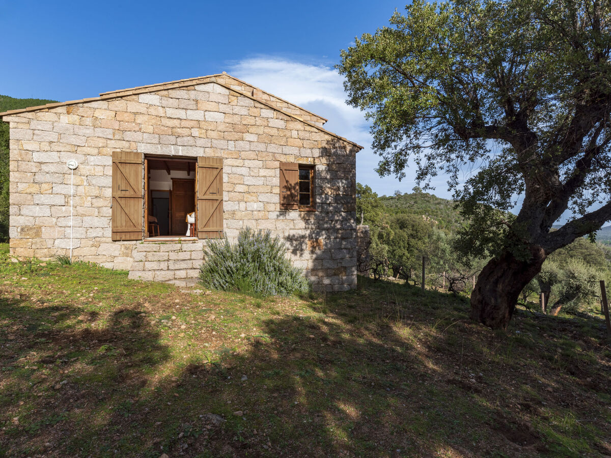 Casa Gialla, gîte 5 chambres avec vue mer à Porto Vecchio - Photo 35