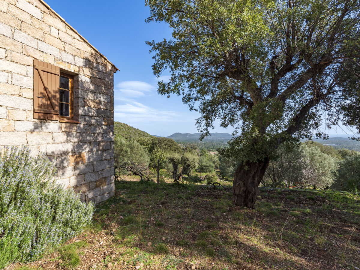 Casa Gialla, gîte 5 chambres avec vue mer à Porto Vecchio - Photo 39