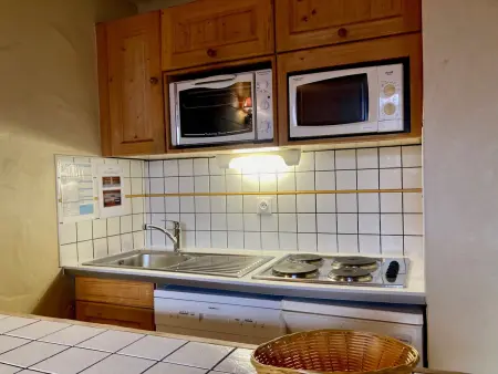 Duplex sous les toits, pied des pistes, animaux admis : photo 3