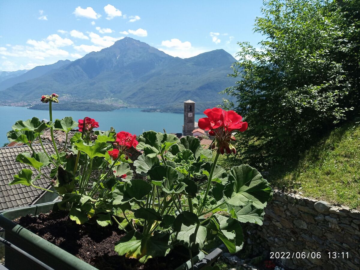 Il Nibbio, maison 70 m² vue lac à Gravedona - Photo 28