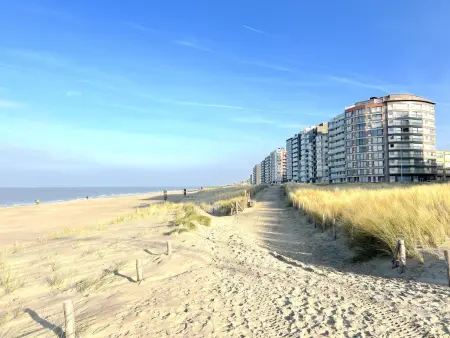 Appartement vue mer à Westende, 1 chambre, 4 personnes : photo 20