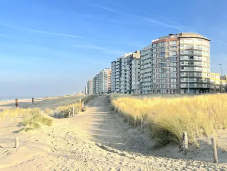 Appartement vue mer à Westende, 1 chambre, 4 personnes : photo 21