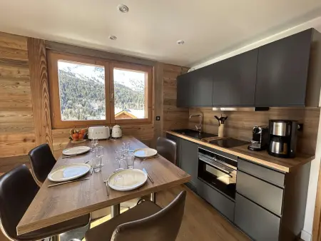 Appartement contemporain proche des pistes à Méribel, balcon Sud : photo 15