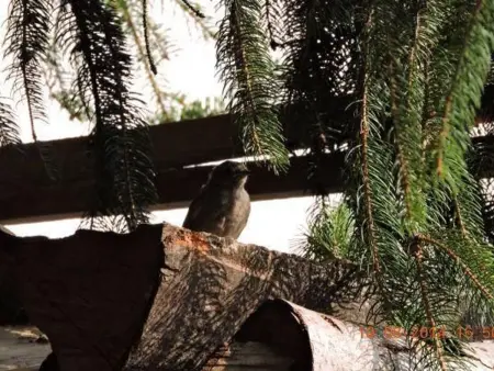 Gîte paisible au pied du Bassin de Champagney, animaux acceptés - Photo 17