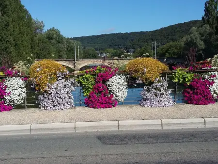 Gîte paisible au pied du Bassin de Champagney, animaux acceptés - Photo 22