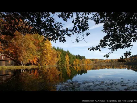 Gîte paisible au pied du Bassin de Champagney, animaux acceptés - Photo 28