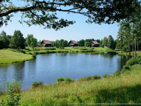 Gîte paisible au pied du Bassin de Champagney, animaux acceptés - Photo 31