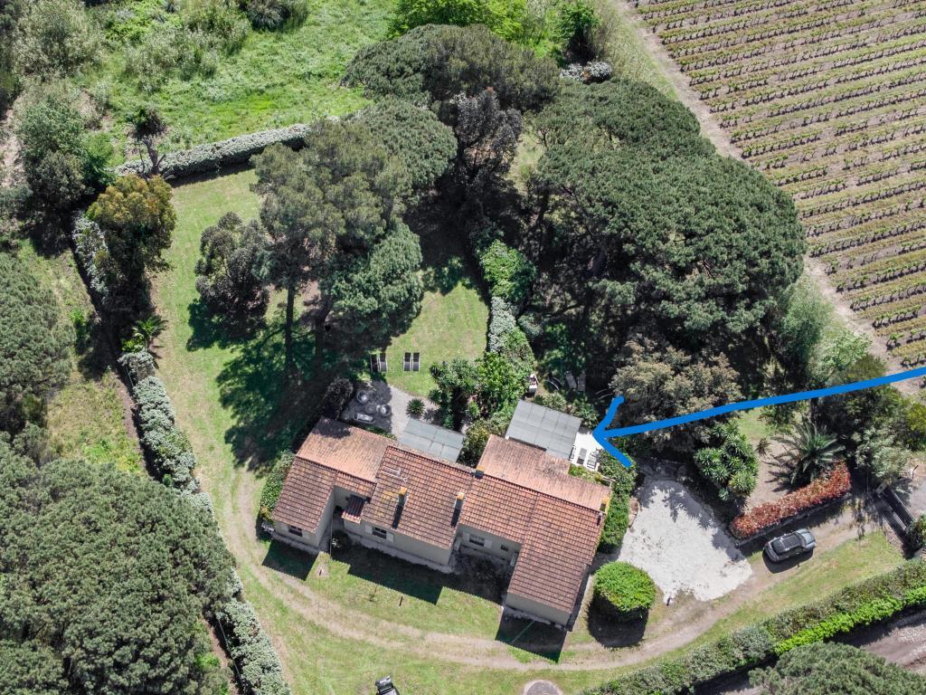 Les Romarins : maison à 250 m de la plage de Pampelonne, Ramatuelle - Photo 3