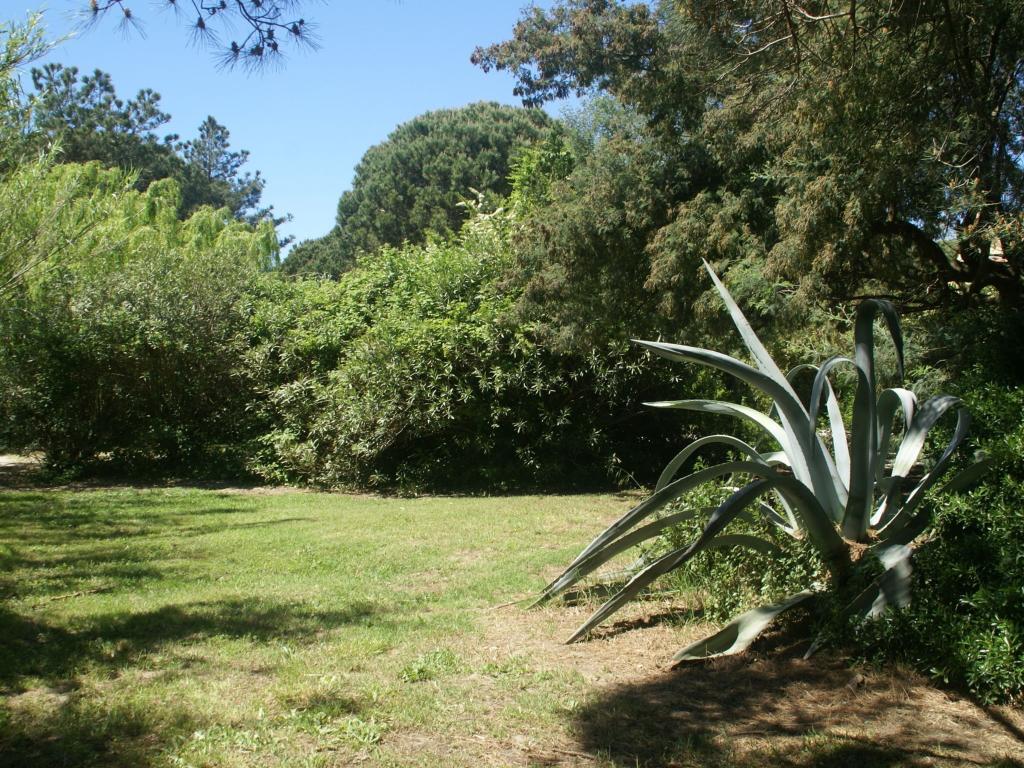 Les Romarins : maison à 250 m de la plage de Pampelonne, Ramatuelle - Photo 22