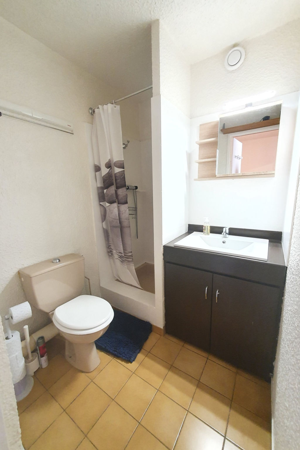 Champamé, studio 22 m² aux Deux Alpes, 50 m des pistes - Photo 9