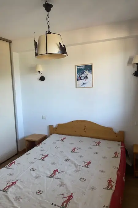 Appartement T. Bergerie à 50 m des pistes, piscine : photo 14