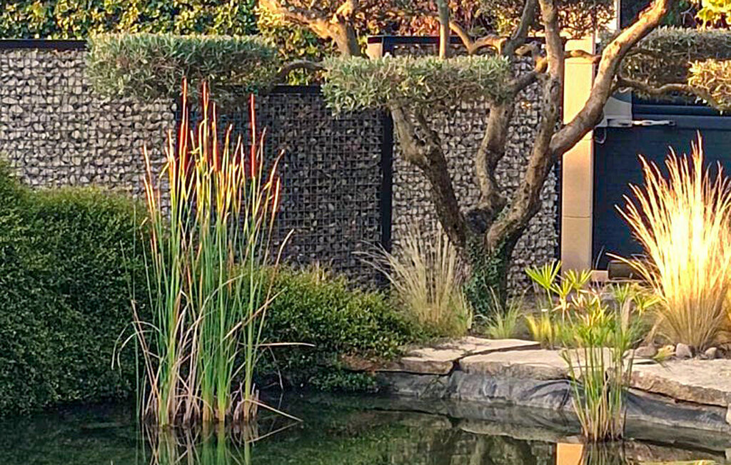 Maison Provence 6 personnes, piscine et jardin - Photo 15