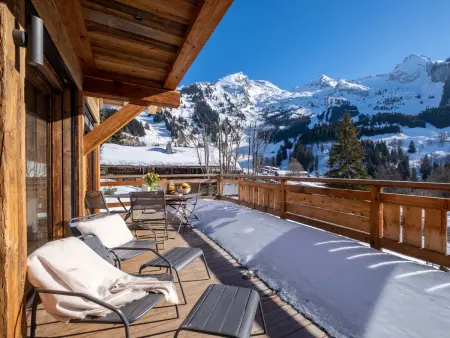 Balmaz Lodge, chalet 5★ 15 pers, piscine, sauna à 300m des pistes : photo 3