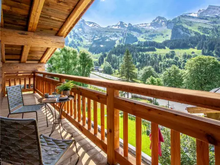 Balmaz Lodge, chalet 5★ 15 pers, piscine, sauna à 300m des pistes : photo 25