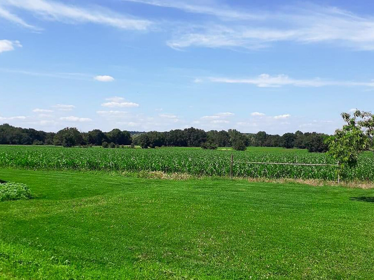 Gîte en pierre, jardin 200m² près de Chinon - Photo 15