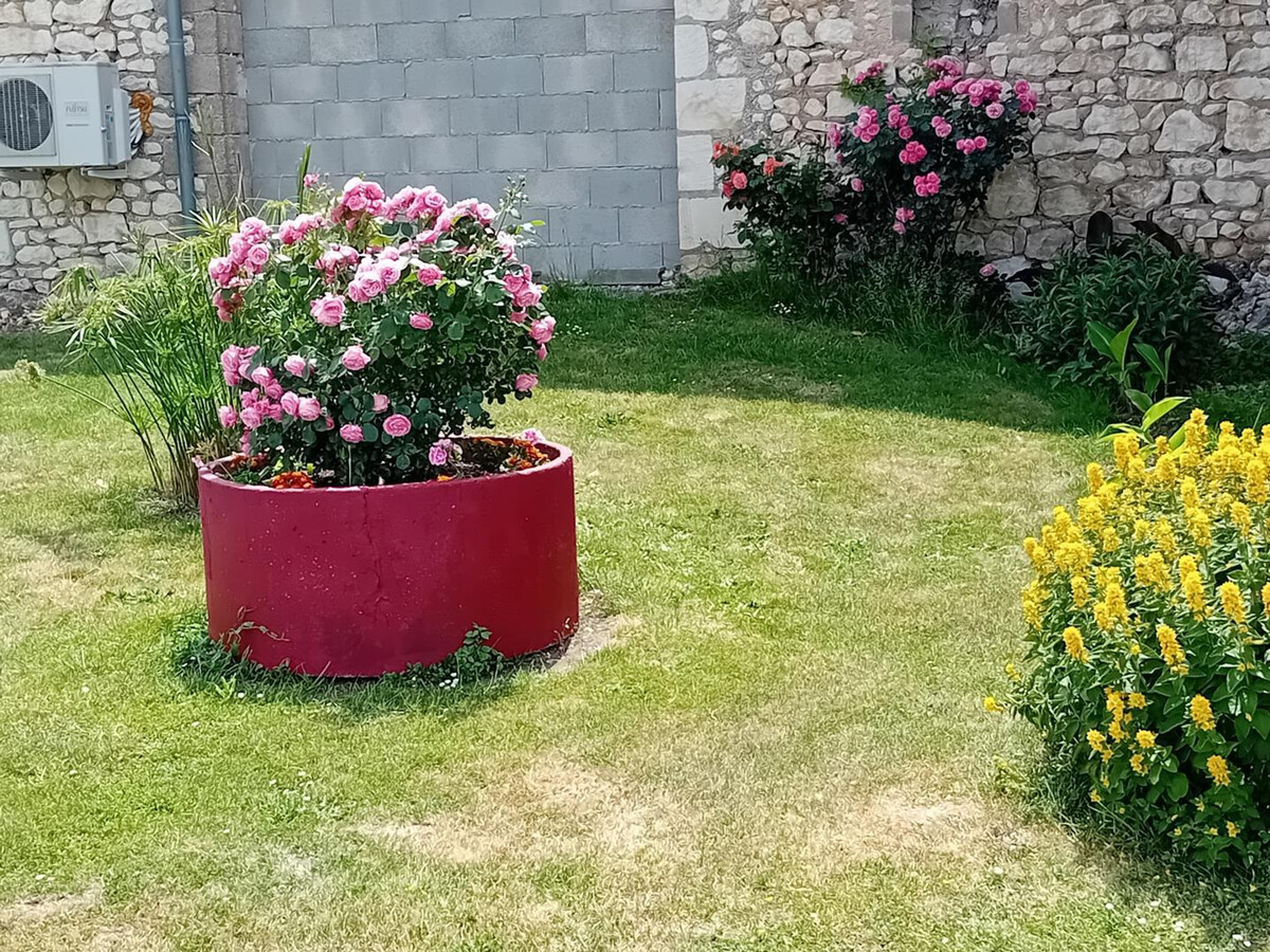 Gîte en pierre, jardin 200m² près de Chinon - Photo 22
