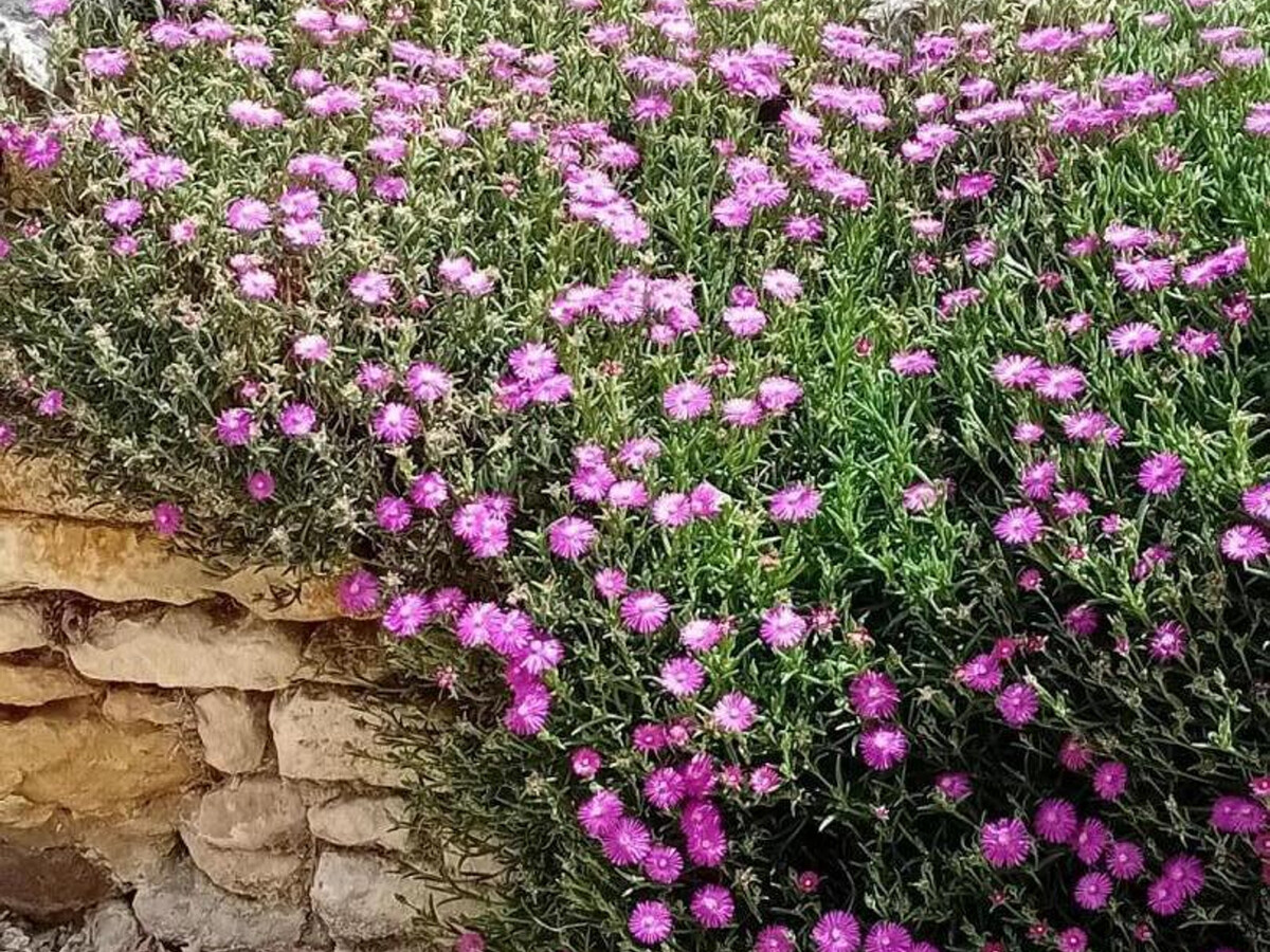 Gîte en pierre, jardin 200m² près de Chinon - Photo 24