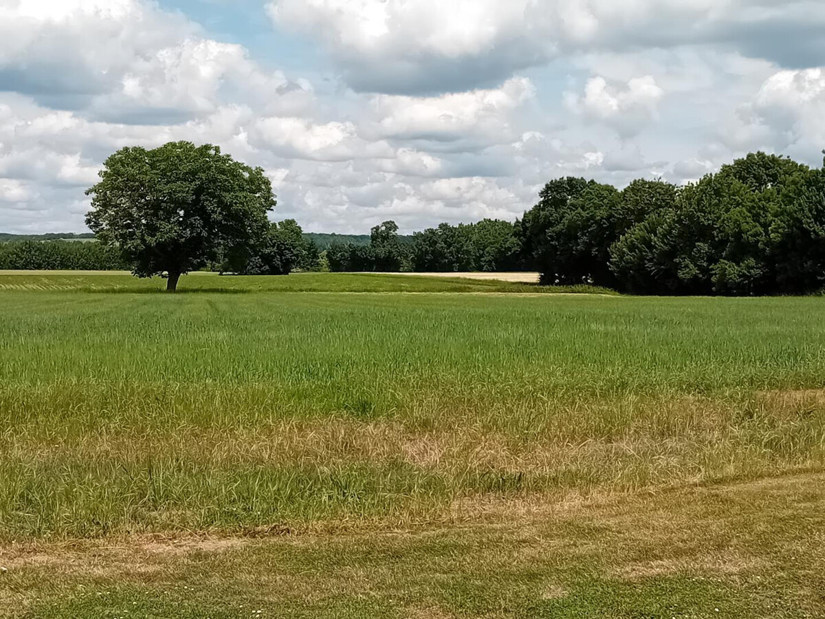Gîte en pierre, jardin 200m² près de Chinon - Photo 25