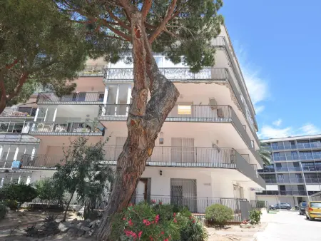 Appartement 2 ch, 300m plage à Roses avec terrasse : photo 33