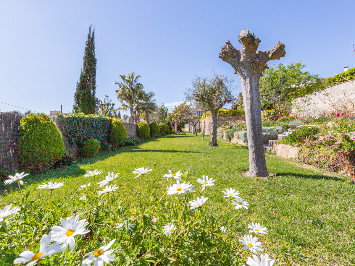 Villa 6 pers. Blanes : piscine privée, jardin, parking - Photo 9