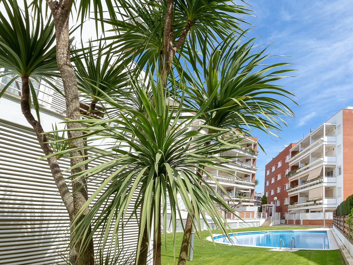 Appartement 4 pers. Lloret de Mar, piscine et terrasse - Photo 10