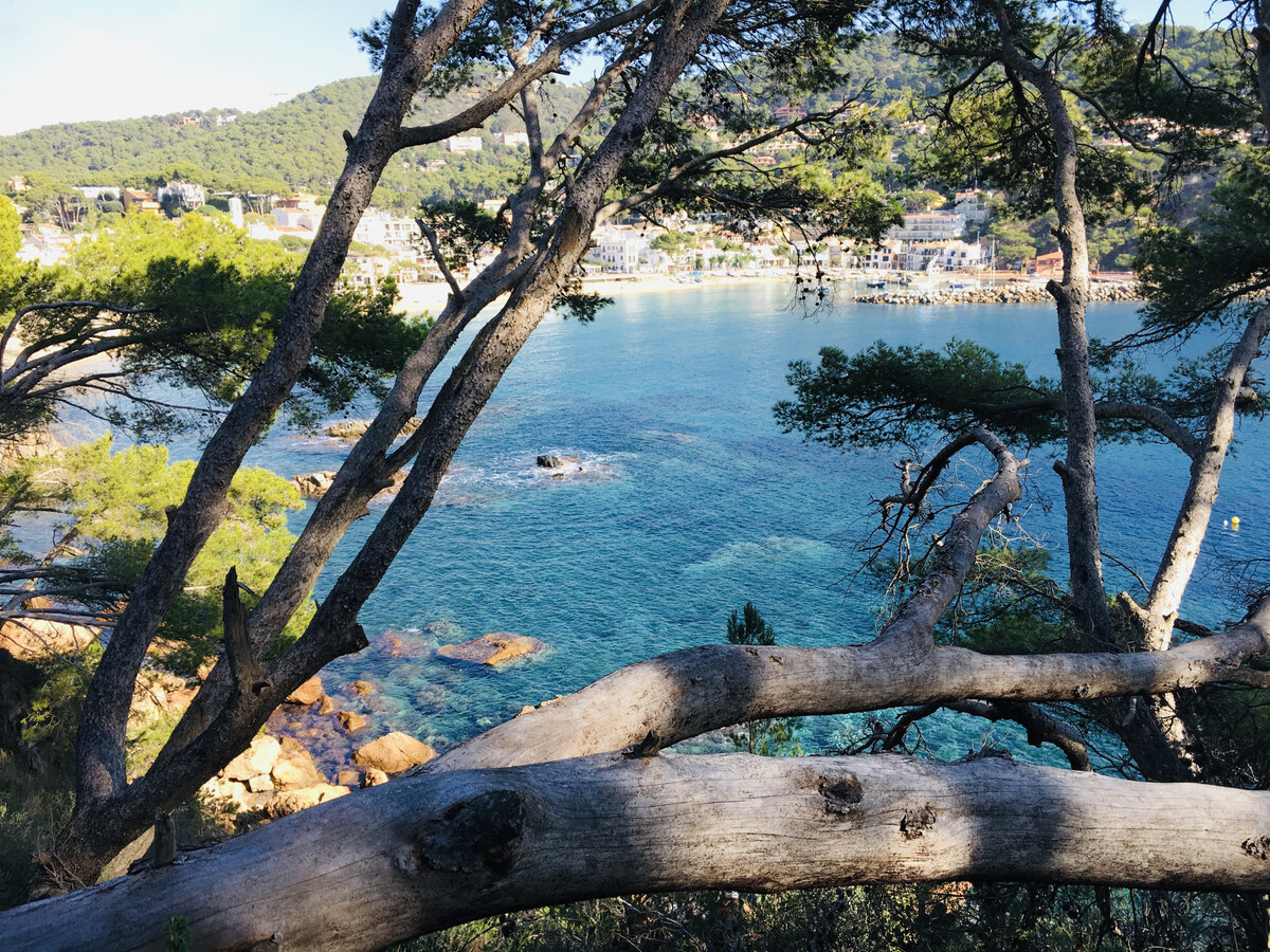 Appartement 4 pers. à 100m de la plage de Llafranc - Photo 16