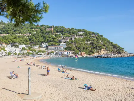 Villa 6 chambres Llafranc, piscine 4x8m et vue mer - Photo 33