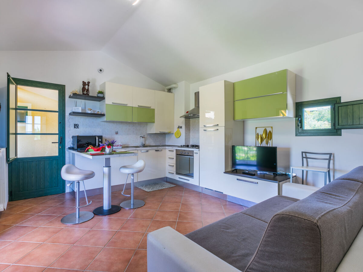 Le Farsiche, appartement 2 pièces à Castellina Marittima - Photo 10