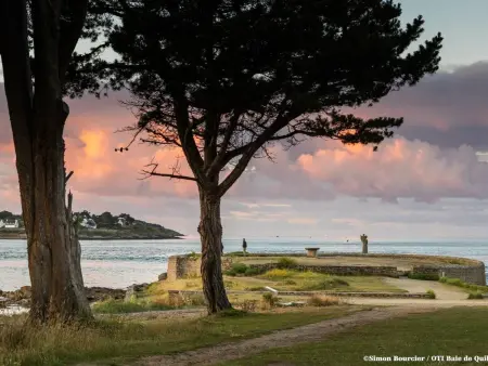 Maison mitoyenne 4 pièces, jardin clos, proche Golfe du Morbihan : photo 22
