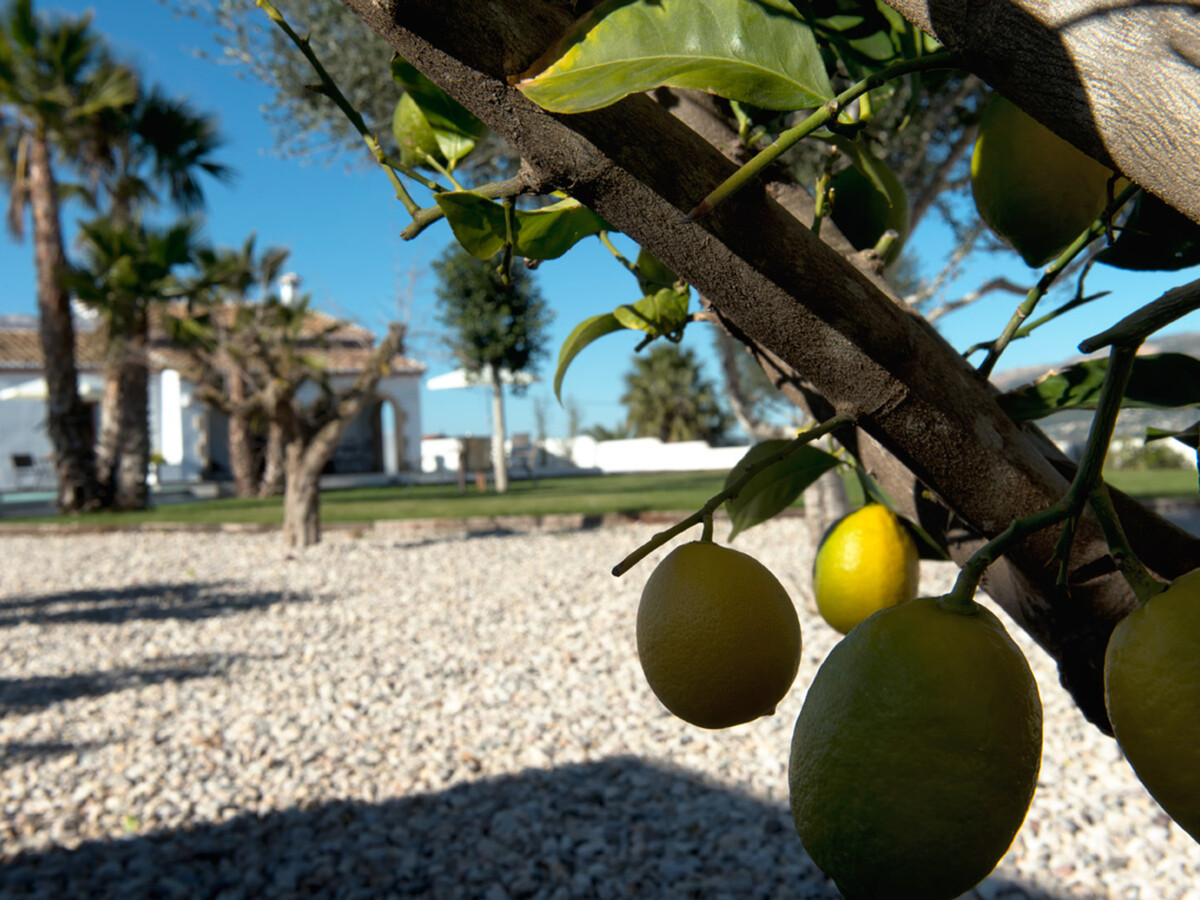 Villa moderne Javea, piscine 15m et vue mer - Photo 14