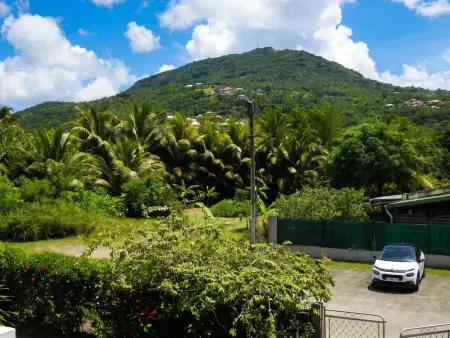 Appartement avec jardin privé et terrasse aux Trois-Îlets, Martinique : photo 14