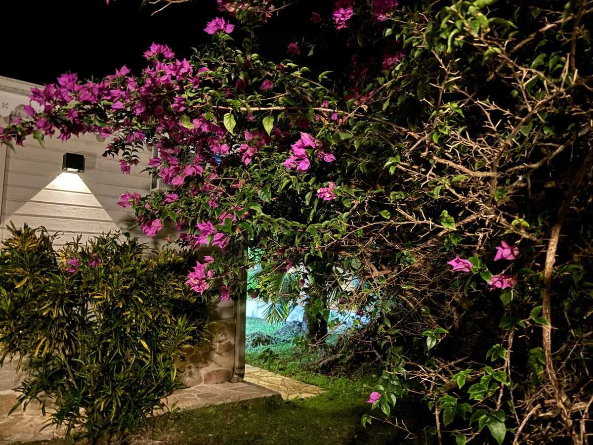 Villa avec piscine privée et vue montagne à Saint-Pierre - Photo 34
