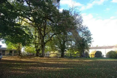 Maison 14 personnes à Anché, 5 chambres, jardin clôturé : photo 34