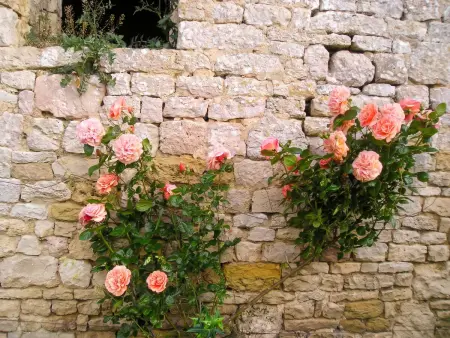 Maison avec cheminée et entrée privée à Fontenay-sur-Mer : photo 10