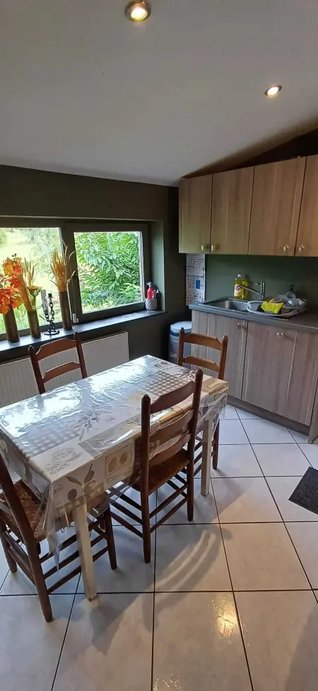 Maison familiale 280 m² à Montignies-sur-Roc, 3 chambres et jardin : photo 21