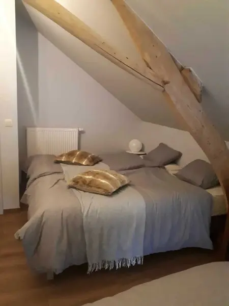 Maison familiale 280 m² à Montignies-sur-Roc, 3 chambres et jardin : photo 30