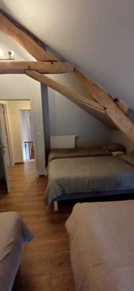 Maison familiale 280 m² à Montignies-sur-Roc, 3 chambres et jardin : photo 34