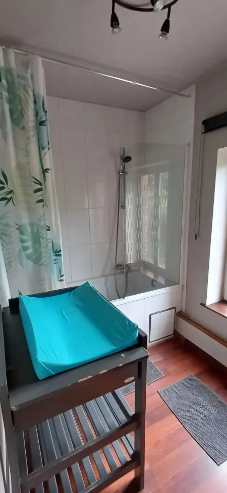 Maison familiale 280 m² à Montignies-sur-Roc, 3 chambres et jardin : photo 44