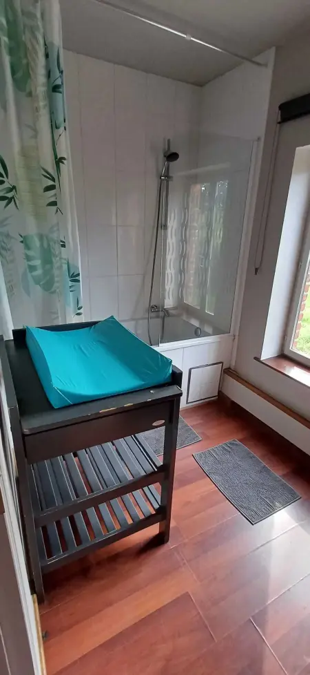 Maison familiale 280 m² à Montignies-sur-Roc, 3 chambres et jardin : photo 46