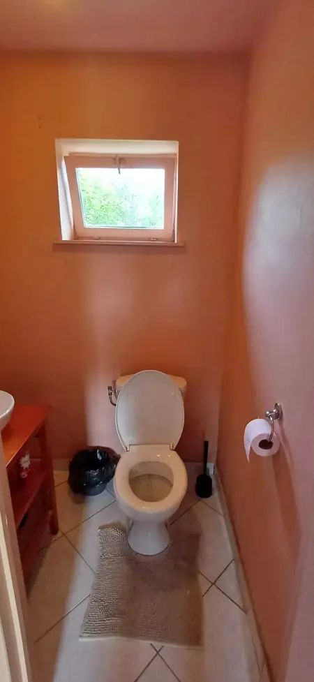 Maison familiale 280 m² à Montignies-sur-Roc, 3 chambres et jardin : photo 47