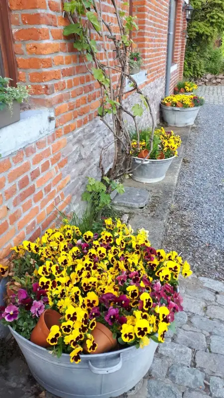 Maison familiale 280 m² à Montignies-sur-Roc, 3 chambres et jardin : photo 52