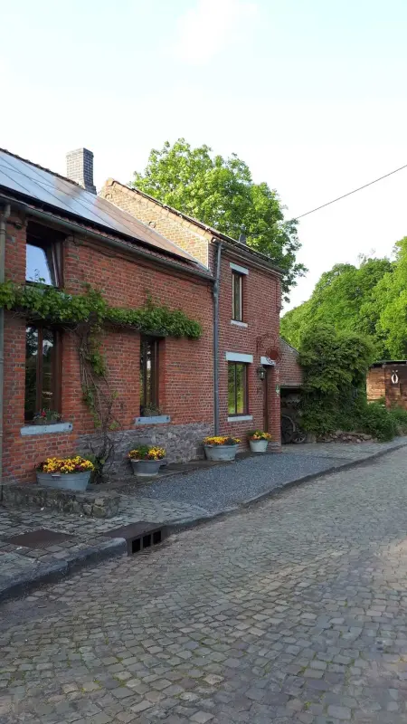 Maison familiale 280 m² à Montignies-sur-Roc, 3 chambres et jardin : photo 60