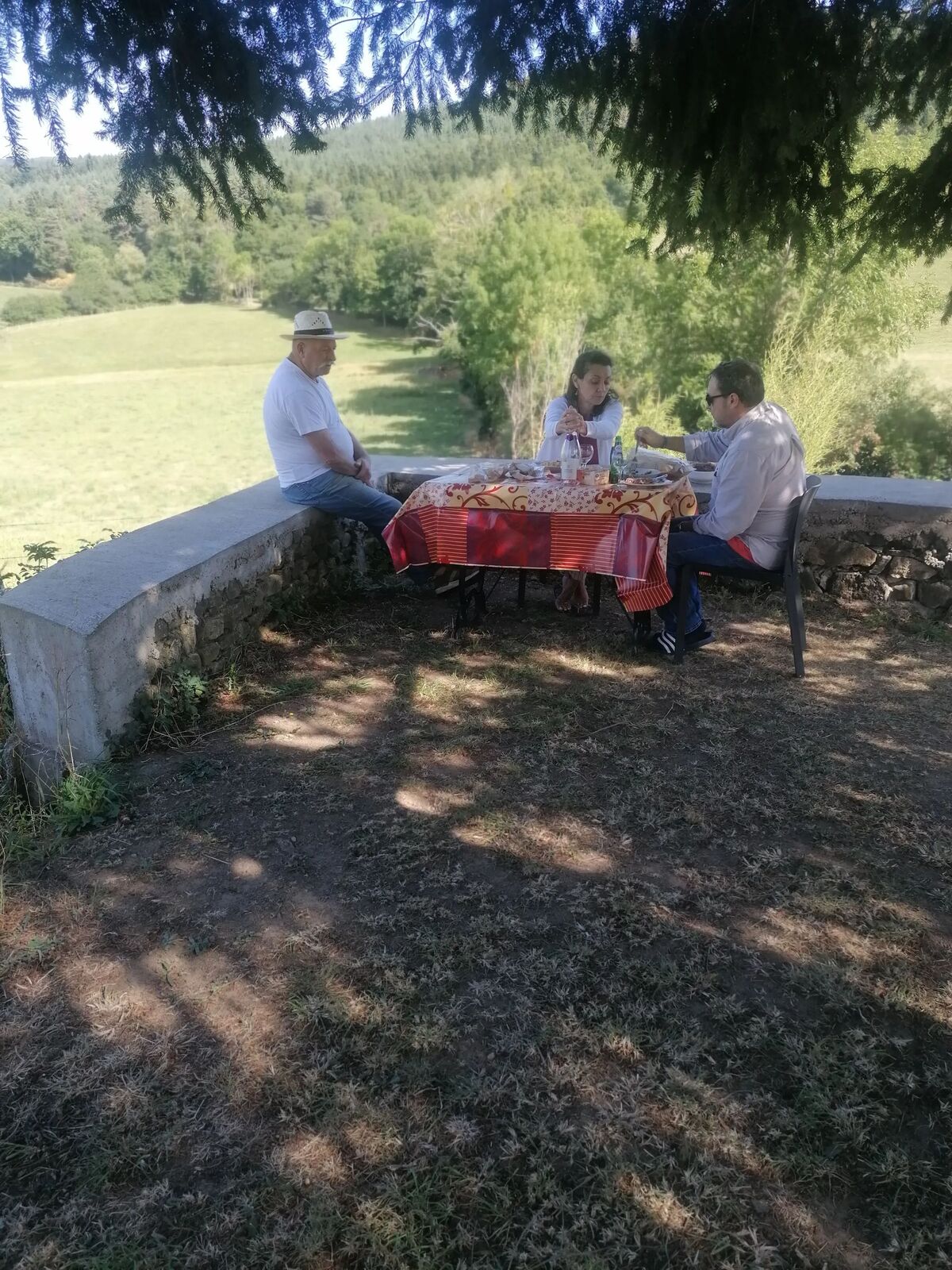 Chalet avec jardin et terrasse à Égliseneuve-des-Liards - Photo 2