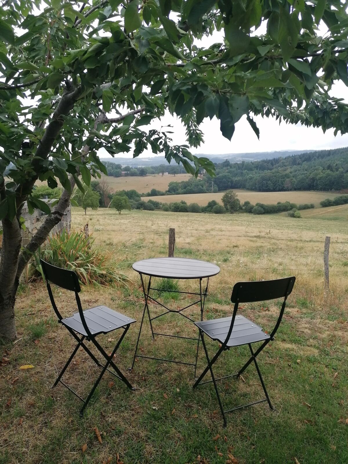 Chalet avec jardin et terrasse à Égliseneuve-des-Liards - Photo 6