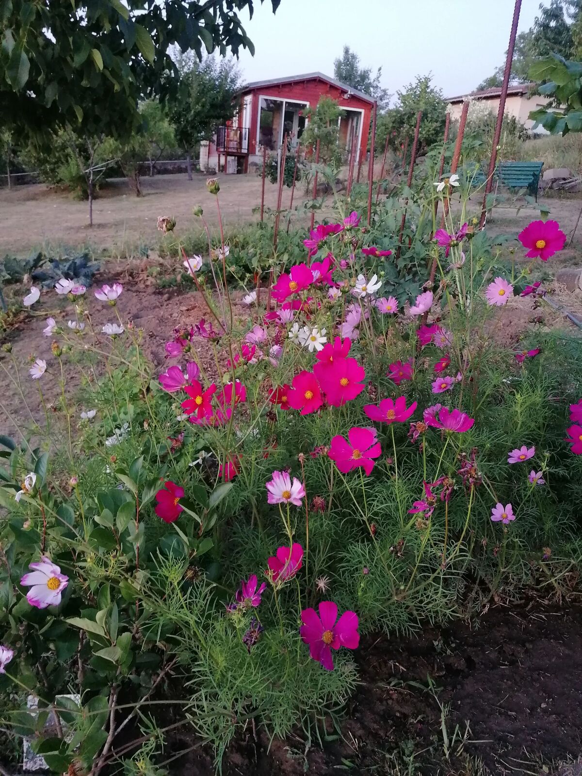Chalet avec jardin et terrasse à Égliseneuve-des-Liards - Photo 32
