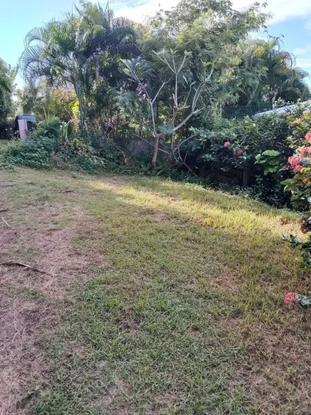 Charmant bungalow avec jardin au Vauclin, Bungalow 2 personnes à Le Vauclin - Photo 9