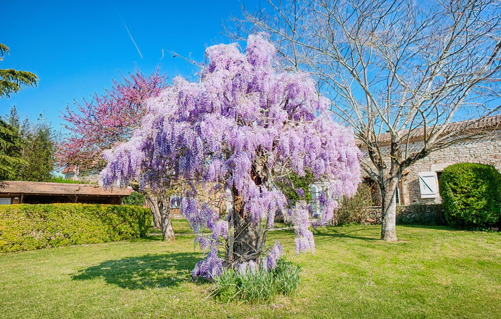 Maison avec piscine privée à Gageac-et-Rouillac - Photo 16